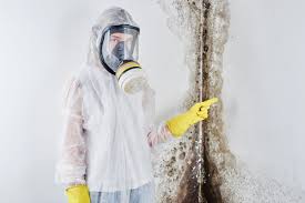 Mold Remediation for Vacation Homes in Topton, PA